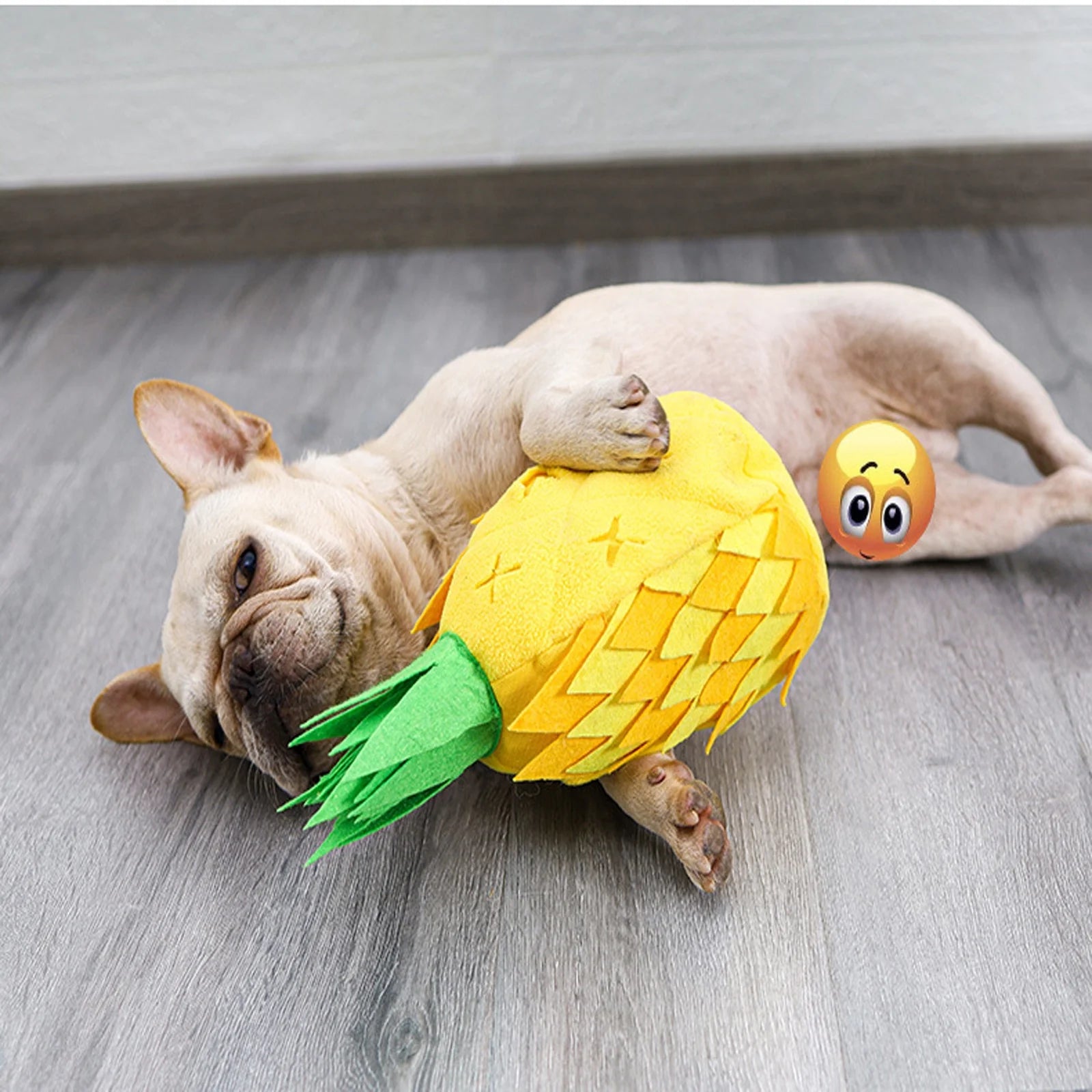 Dog Squeaky Toy, Interactive Dog Toy, Dog Puzzle Toy for Smelling Feeding Training, Dog Plush Toy for Small Medium and Large Dogs