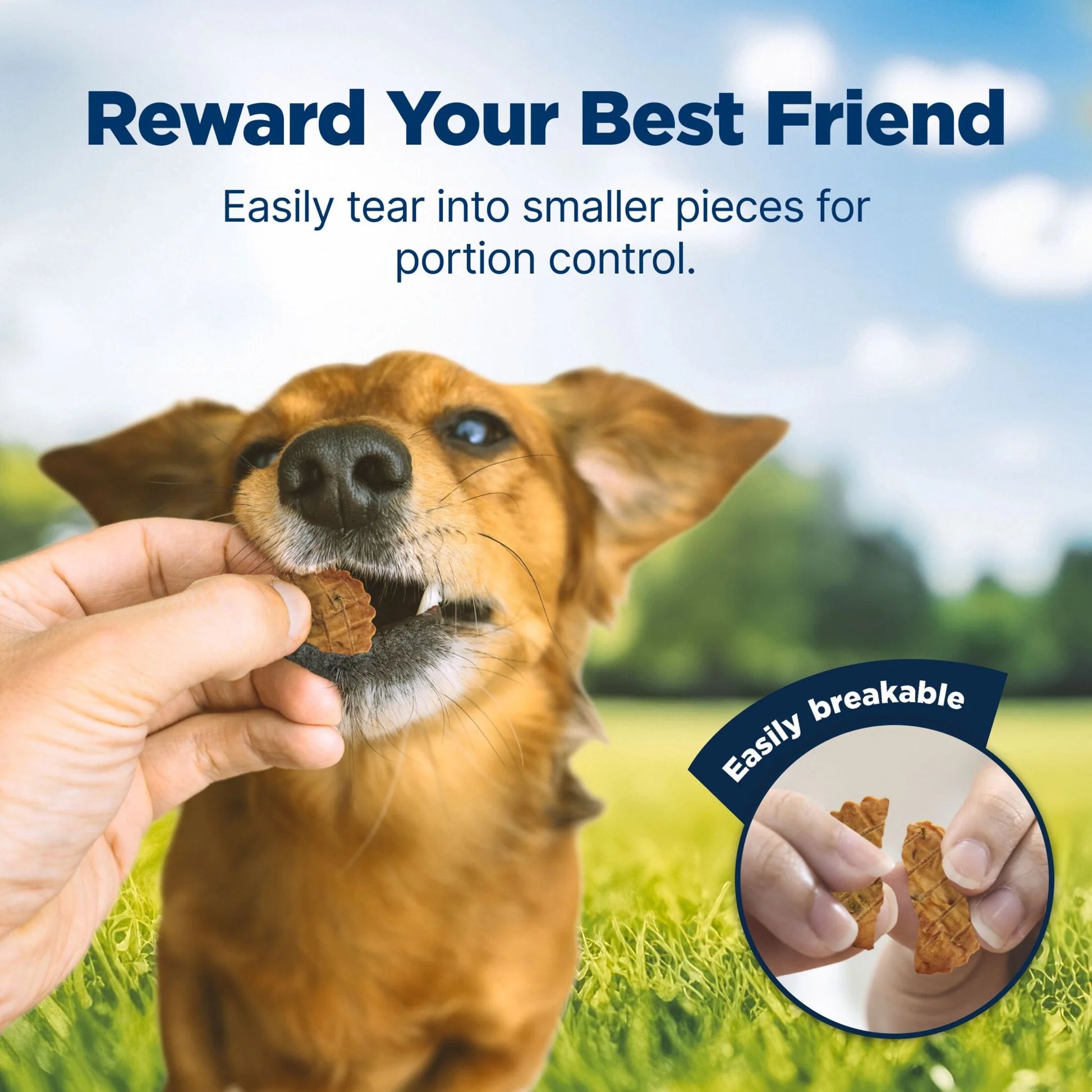 Nudges Homestyle Natural Dog Treats Made with Real Chicken, 16-Oz. Bag