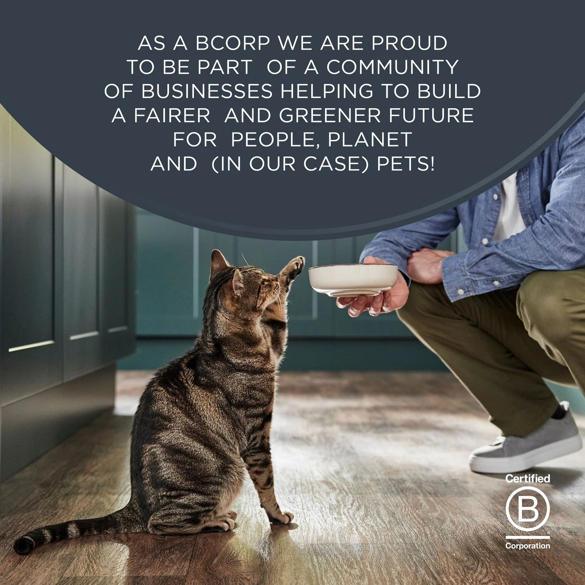 Pet Food Natural Wet Cat Food, Fish & Chicken in Broth Variety Pack, 12 X 2.47Oz Pouches